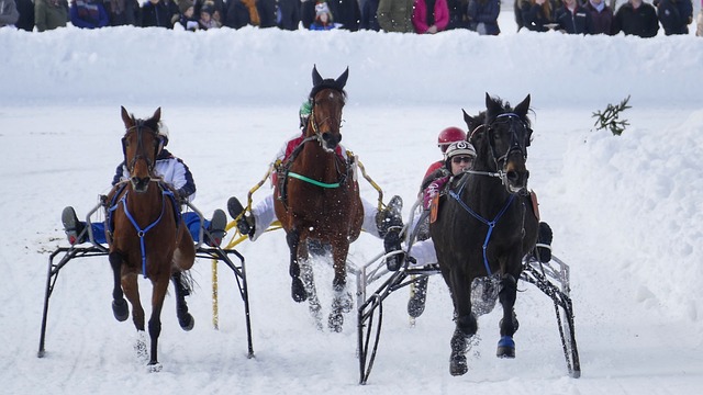 案例分析 案例分析