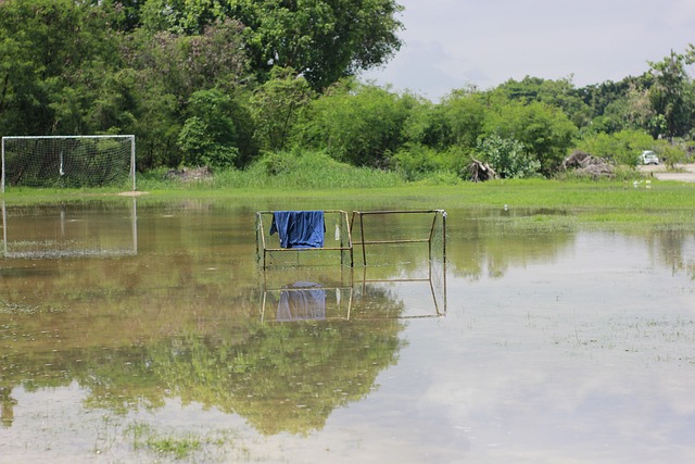 赛中因伤提 赛中因伤提