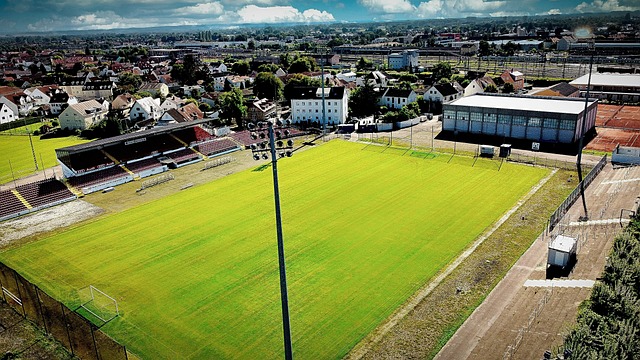 创新的战术 创新的战术