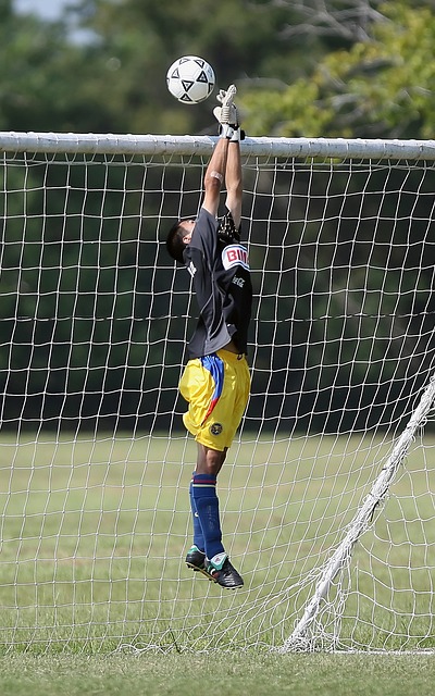 的指引下 的指引下