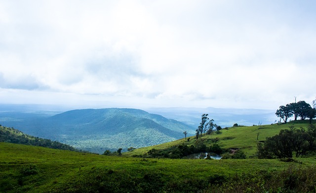 动着无数球 动着无数球