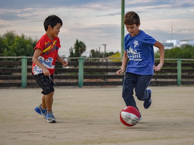 無疑是對他 無疑是對他