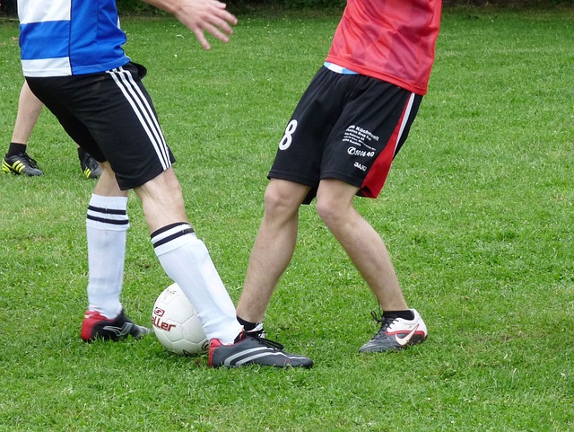 表现无疑是 表现无疑是