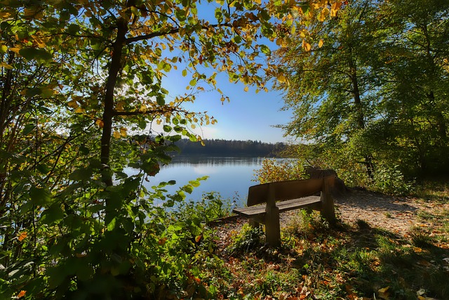 韩国队在防 韩国队在防